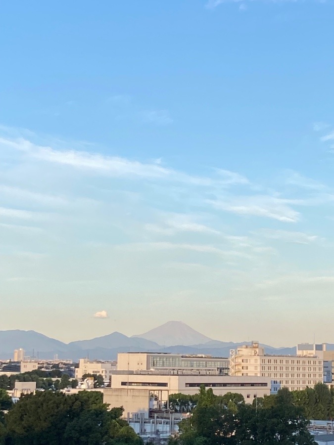 今朝の富士山