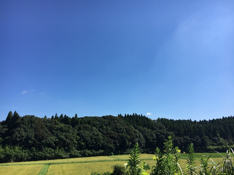 ⭕️空部→ 今日の空（≧∇≦）‼️1400.