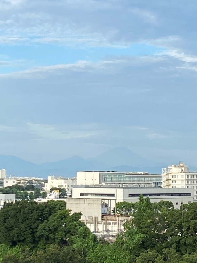 今朝の富士山