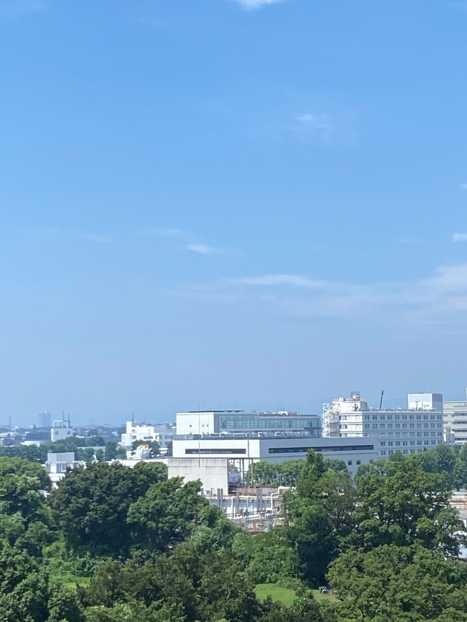 今朝の富士山