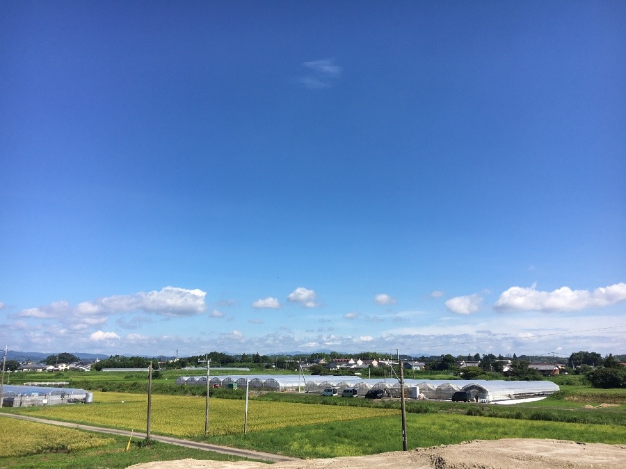 ⭕️空部→ 今日の空（≧∇≦）‼️1401.