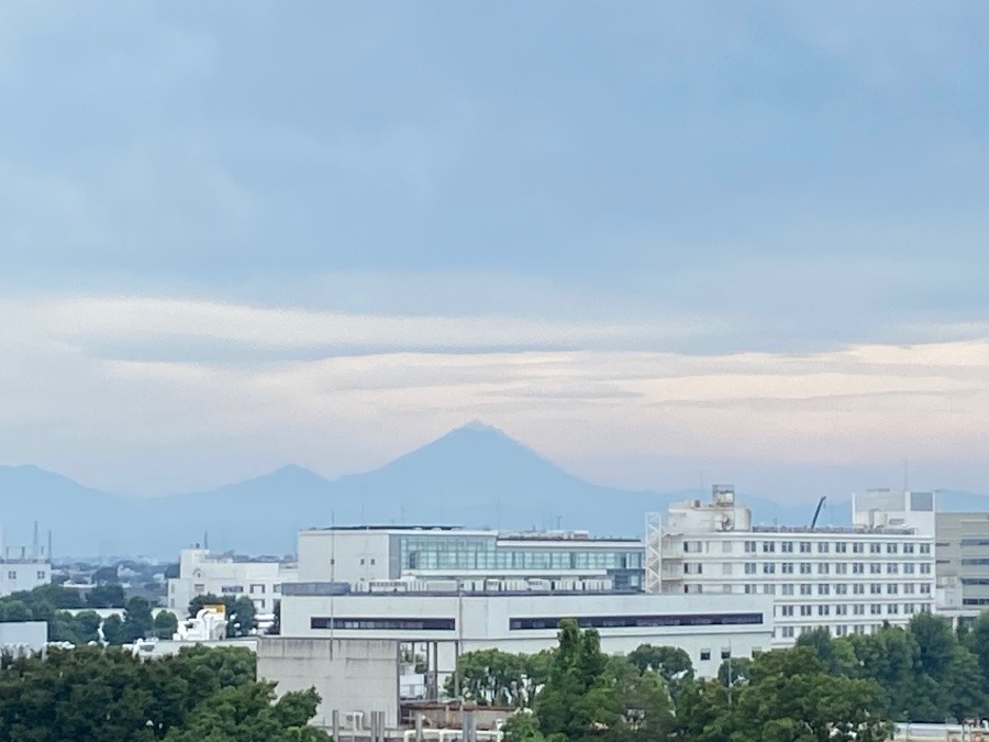 朝とはちょっとちがう富士山