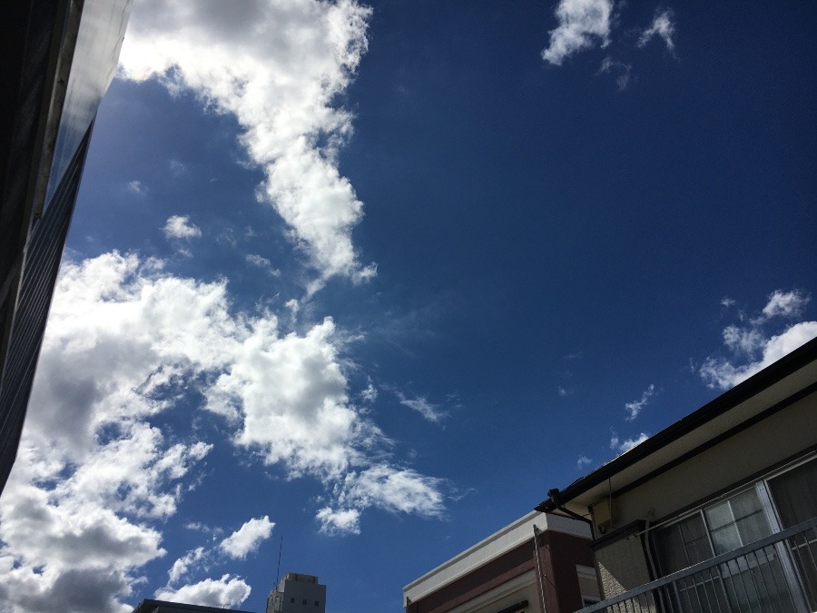 ⭕️空部→ 今日の空（≧∇≦）‼️1344.