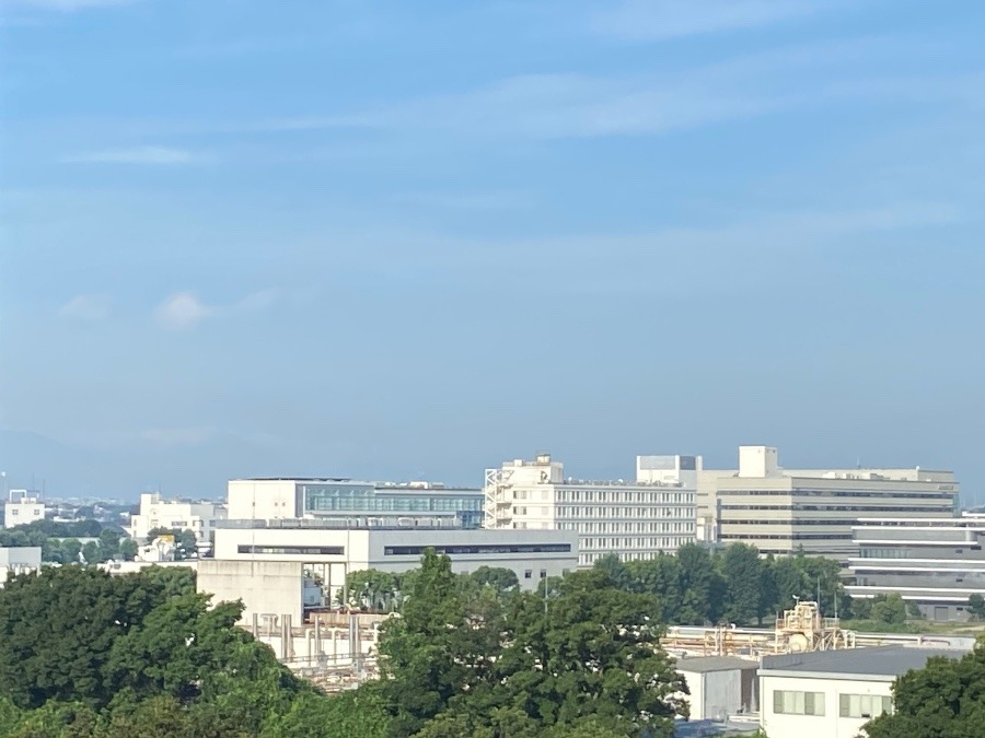 今朝の富士山