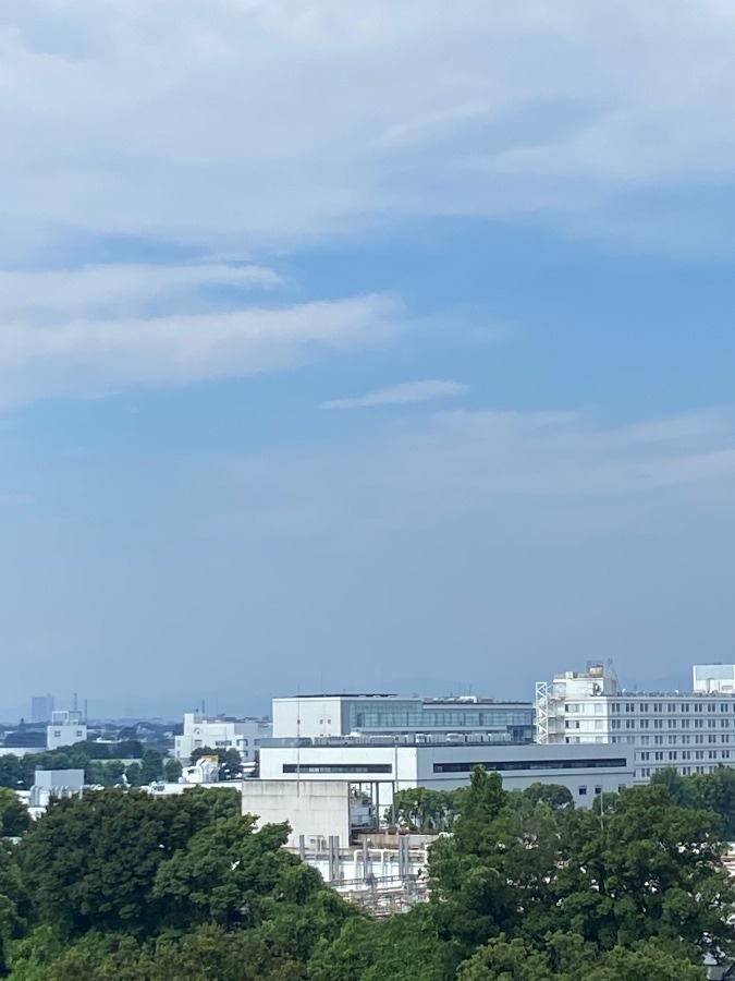 今朝の富士山