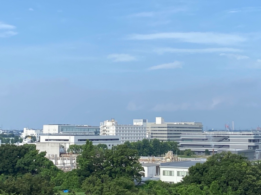 今朝の富士山