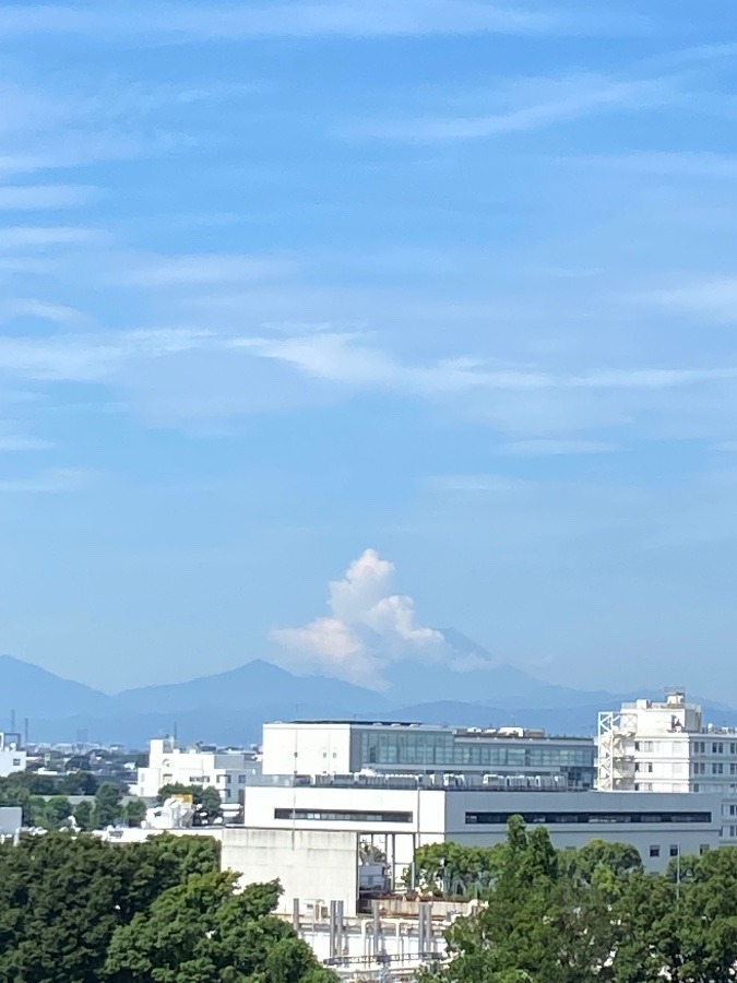 今朝の富士山