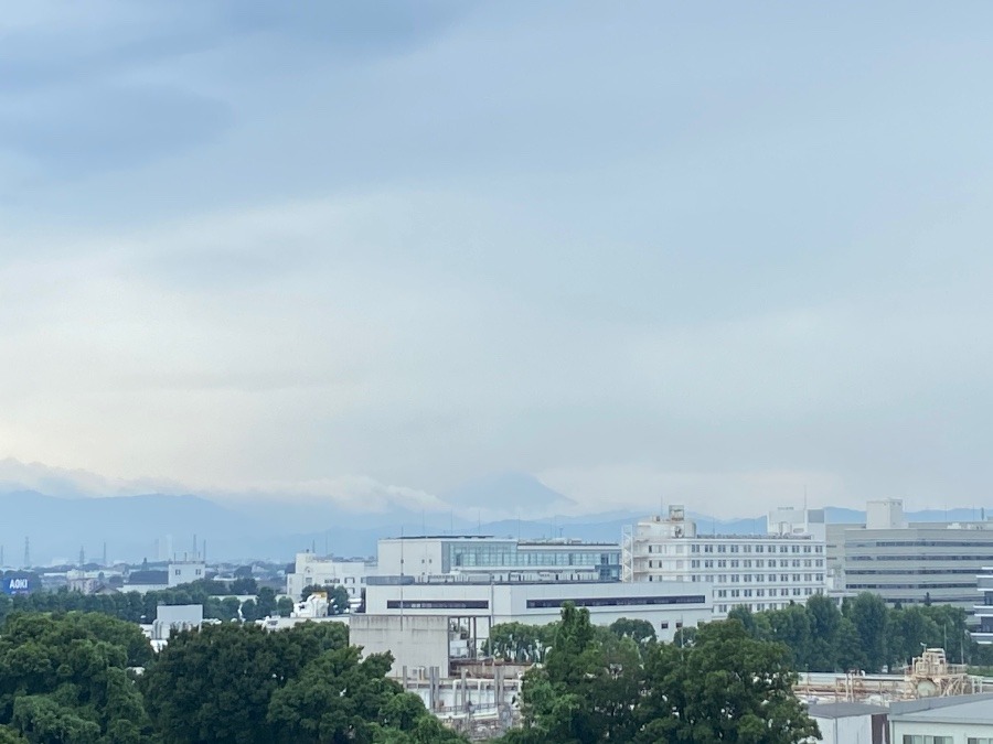 今朝の富士山