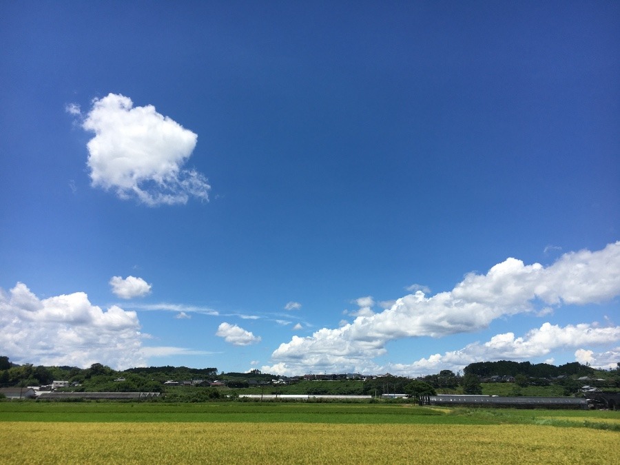 ⭕️空部→ 今日の空（≧∇≦）‼️1402.