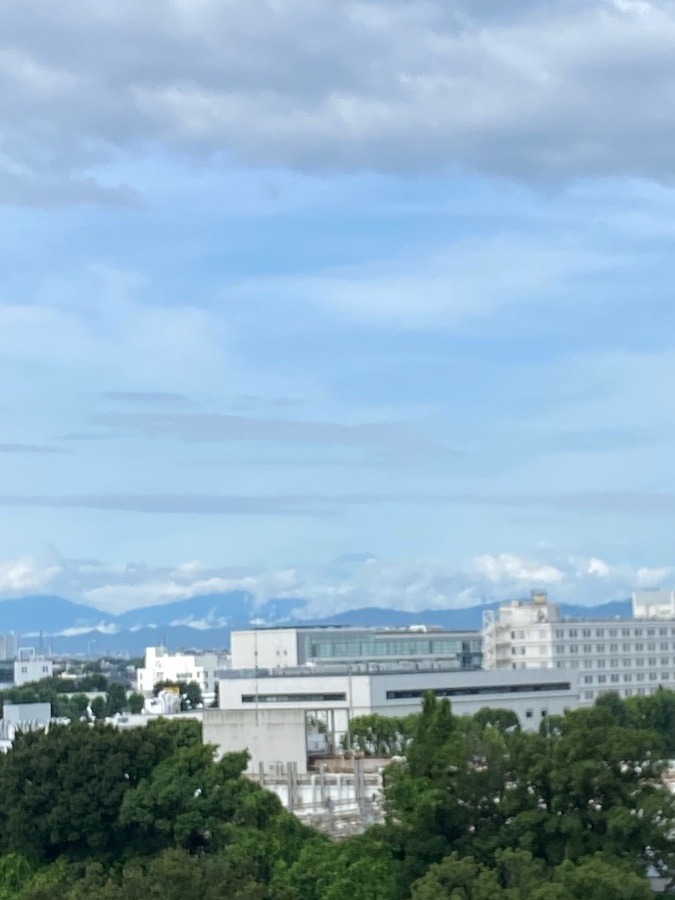 今朝の富士山