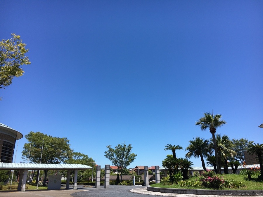 ⭕️空部→ 今日の空（≧∇≦）‼️1421.