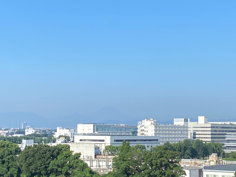 今朝の富士山