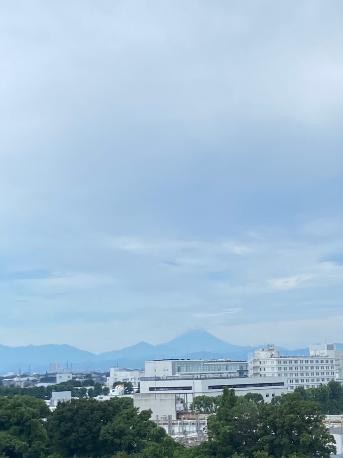 今朝の富士山