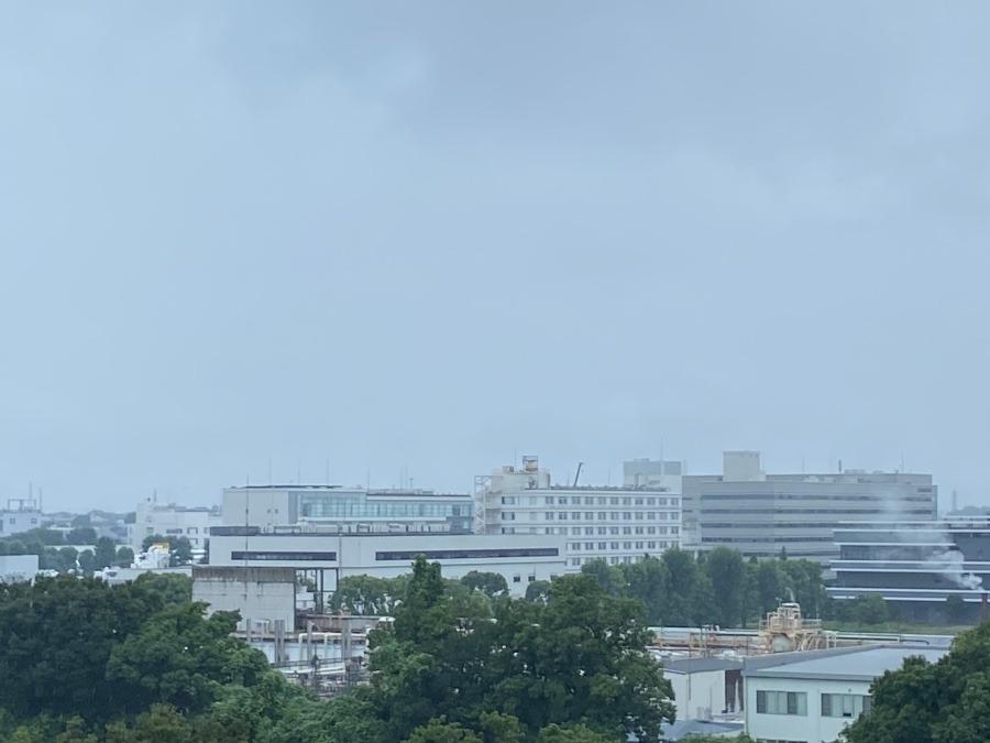 今日の富士山