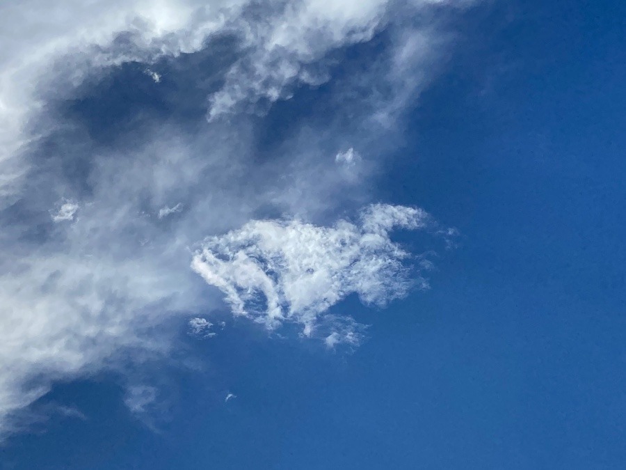 雲が空を泳いでる