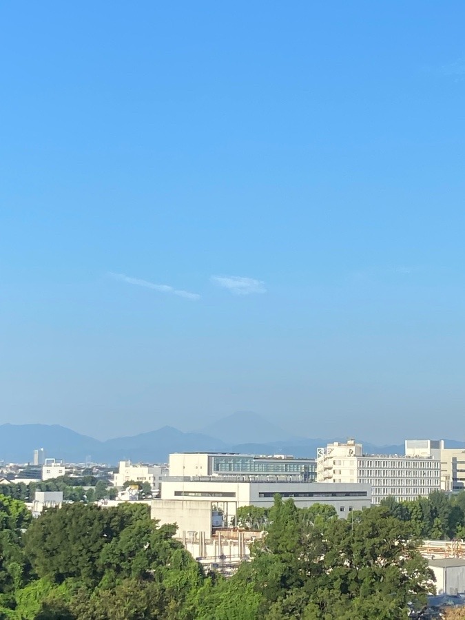 今朝の富士山