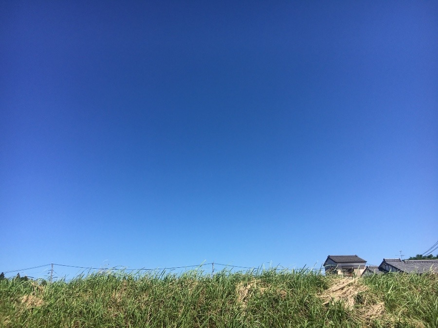 ⭕️空部→ 今日の空（≧∇≦）‼️1461.