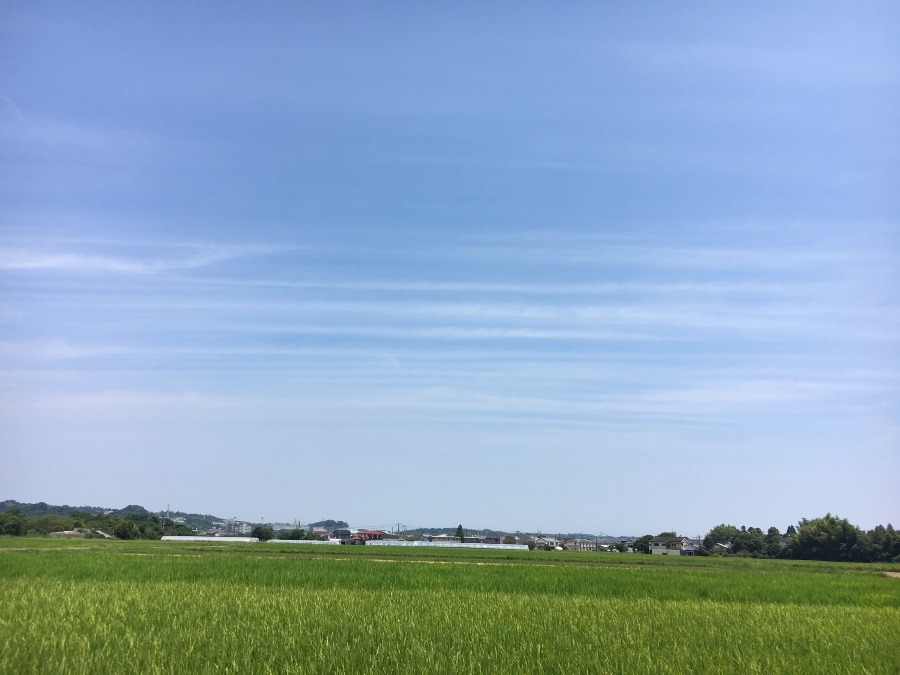 ⭕️空部→ 今日の空（≧∇≦）‼️1439.