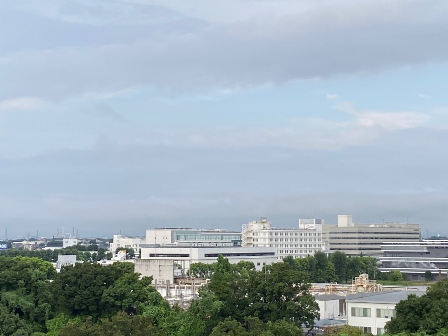 今朝の富士山