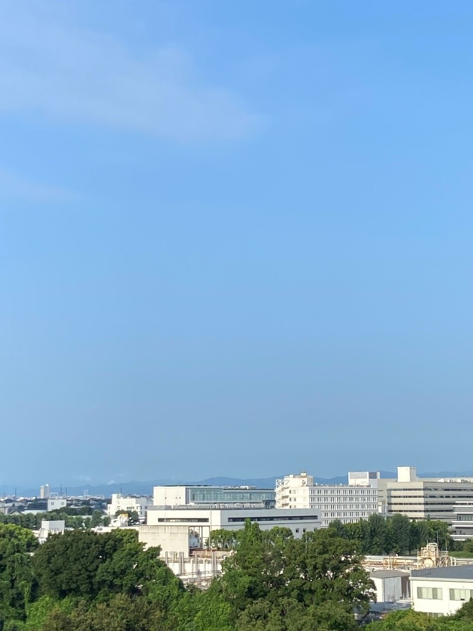 今朝の富士山