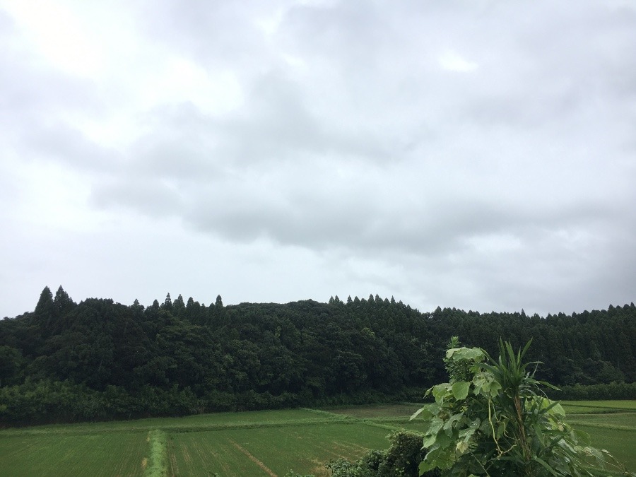 ⭕️空部→ 今日の空（≧∇≦）‼️1456.