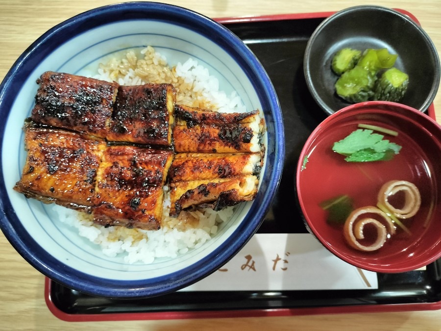 うなぎ丼です。