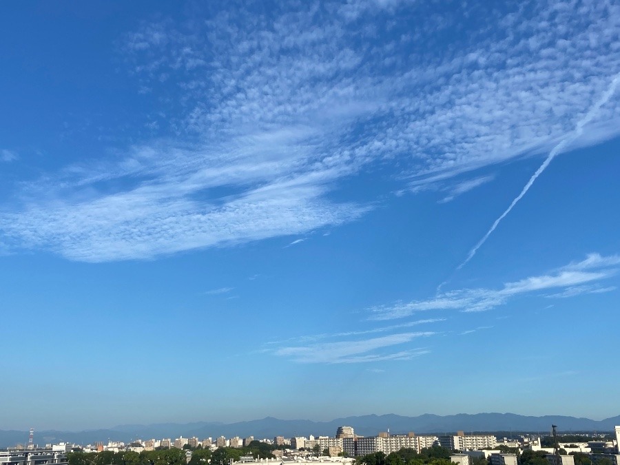 夏の青い空に白い雲がきれいに広がる気持ちよさ