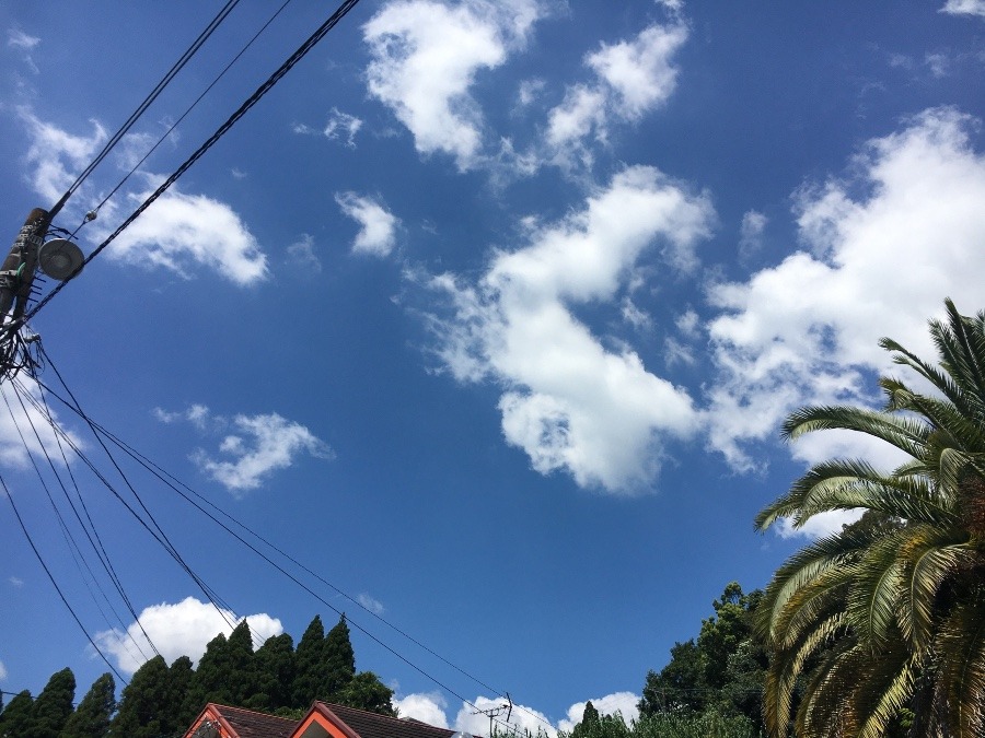 ⭕️空部→ 今日の空（≧∇≦）‼️1422.