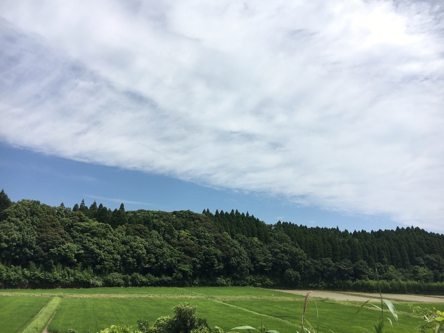 ⭕️空部→ 今日の空（≧∇≦）‼️1425.