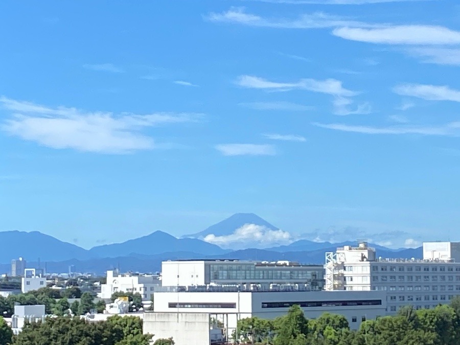 今朝の富士山