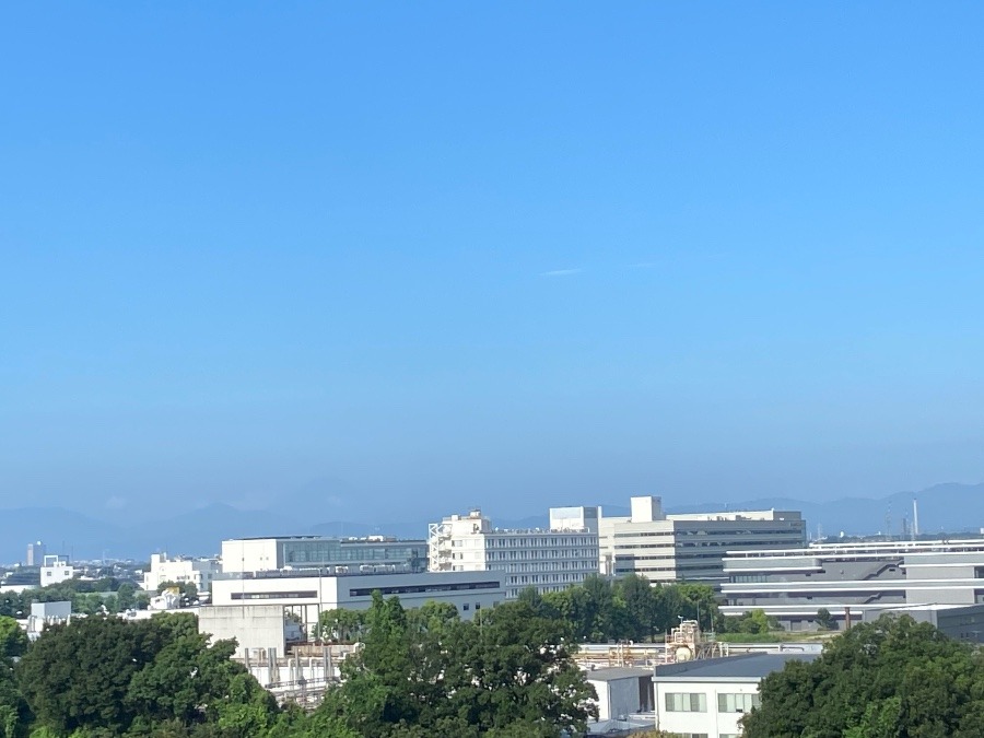 今朝の富士山