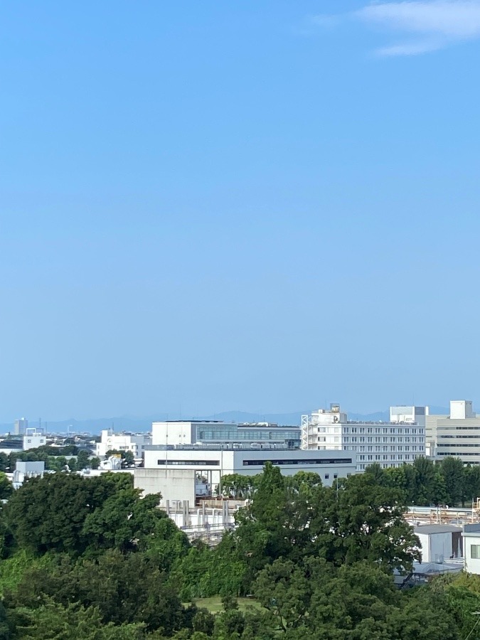 今朝の富士山