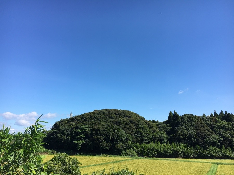 ⭕️空部→ 今日の空（≧∇≦）‼️1428.