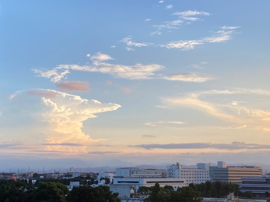 昨日の夕方の富士山