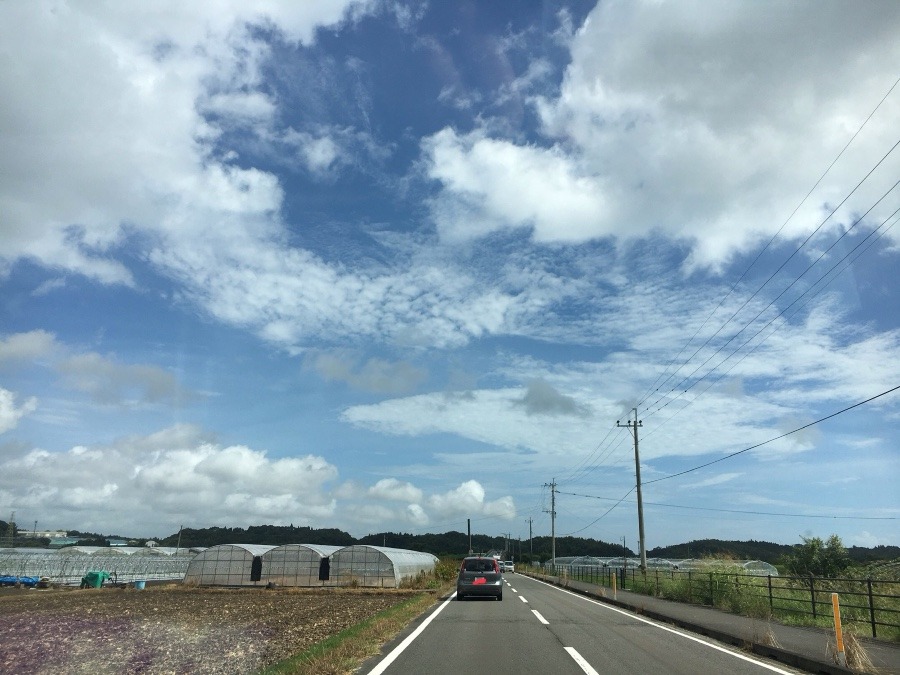 ⭕️空部→ 今日の空（≧∇≦）‼️1447.