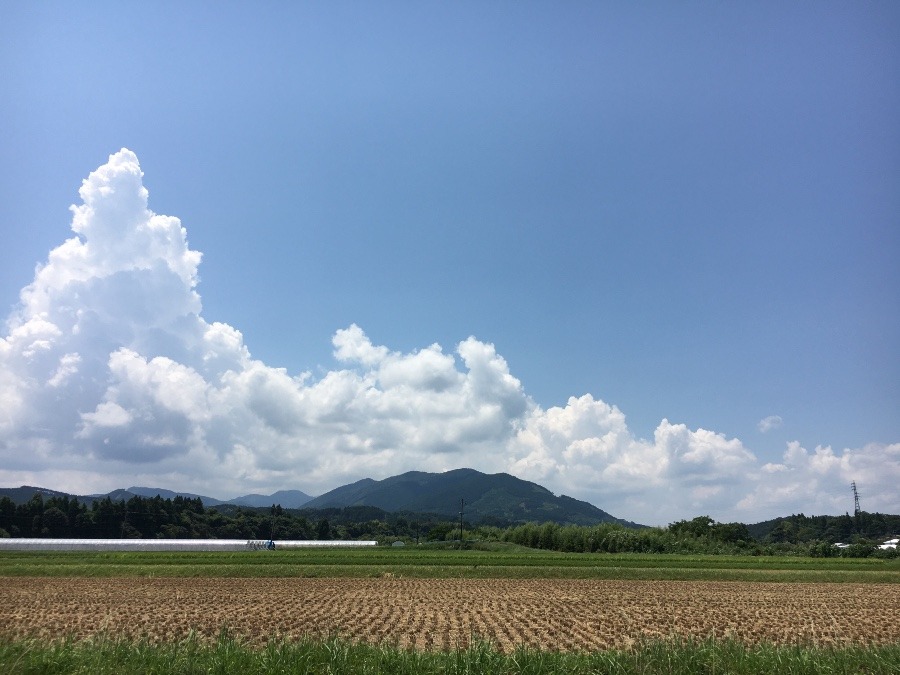 ⭕️空部→ 今日の空（≧∇≦）‼️1433.