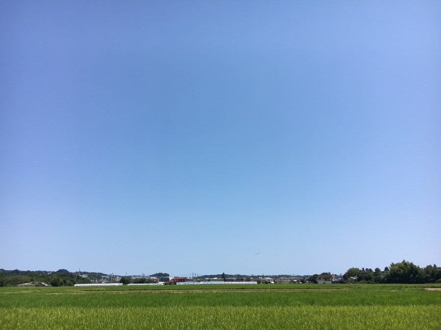 ⭕️空部→ 今日の空（≧∇≦）‼️1449.