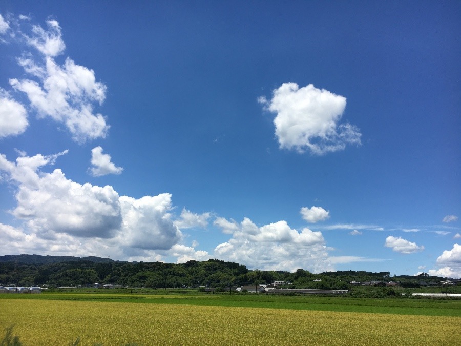 ⭕️空部→ 今日の空（≧∇≦）‼️1426.