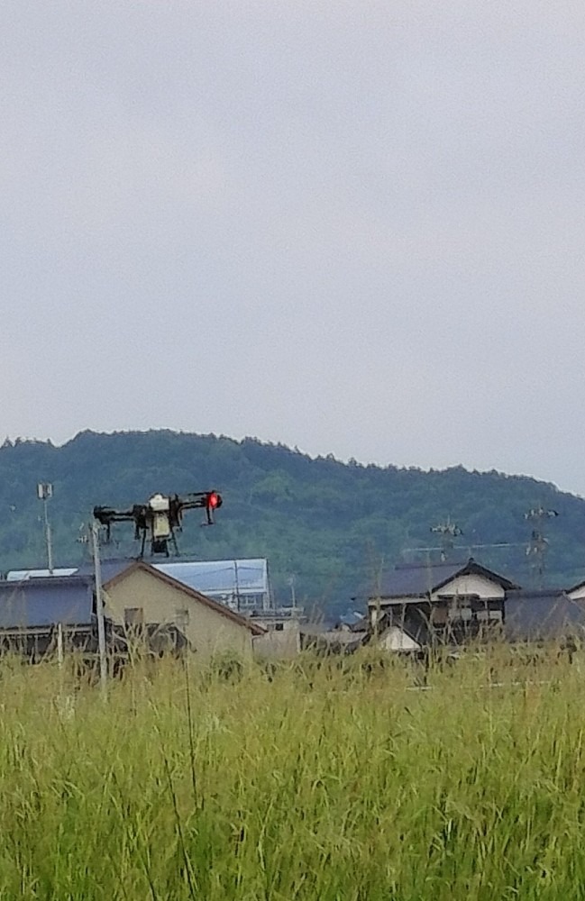 朝、6時からドローンが飛んでます