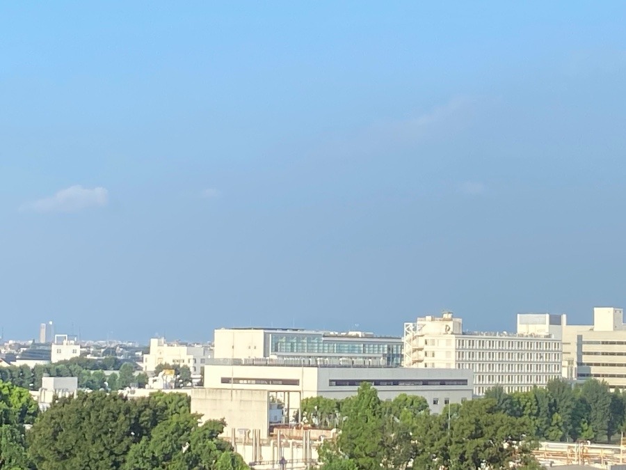 今朝の富士山