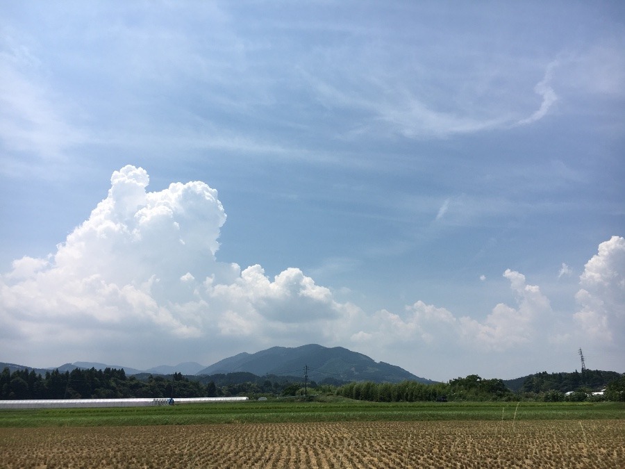 ⭕️空部→ 今日の空（≧∇≦）‼️1441.