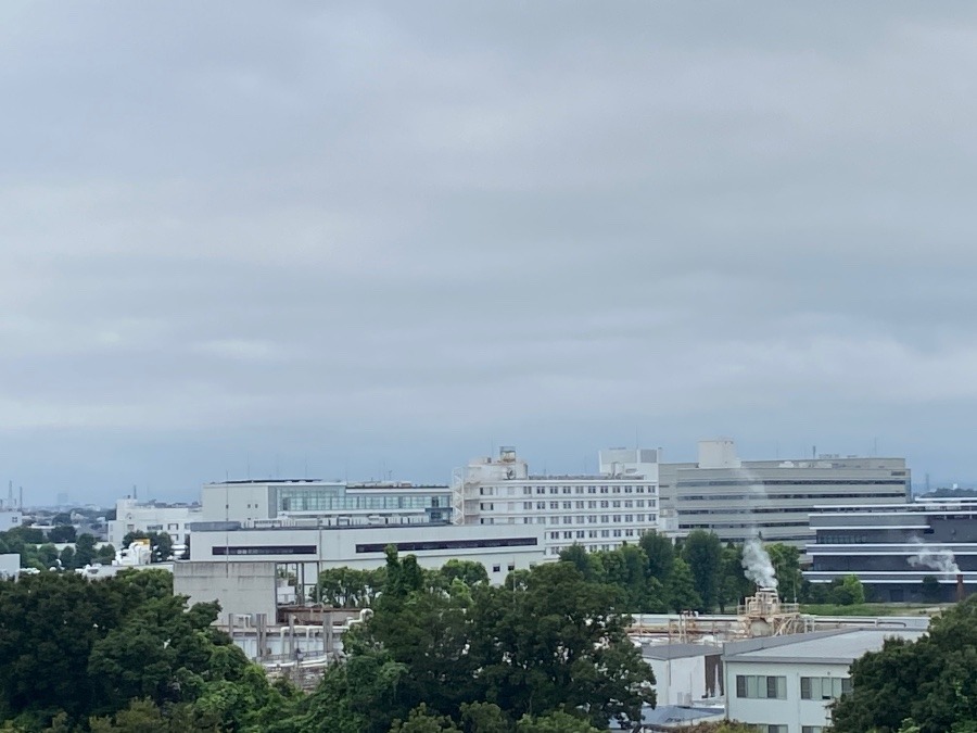 今朝の富士山