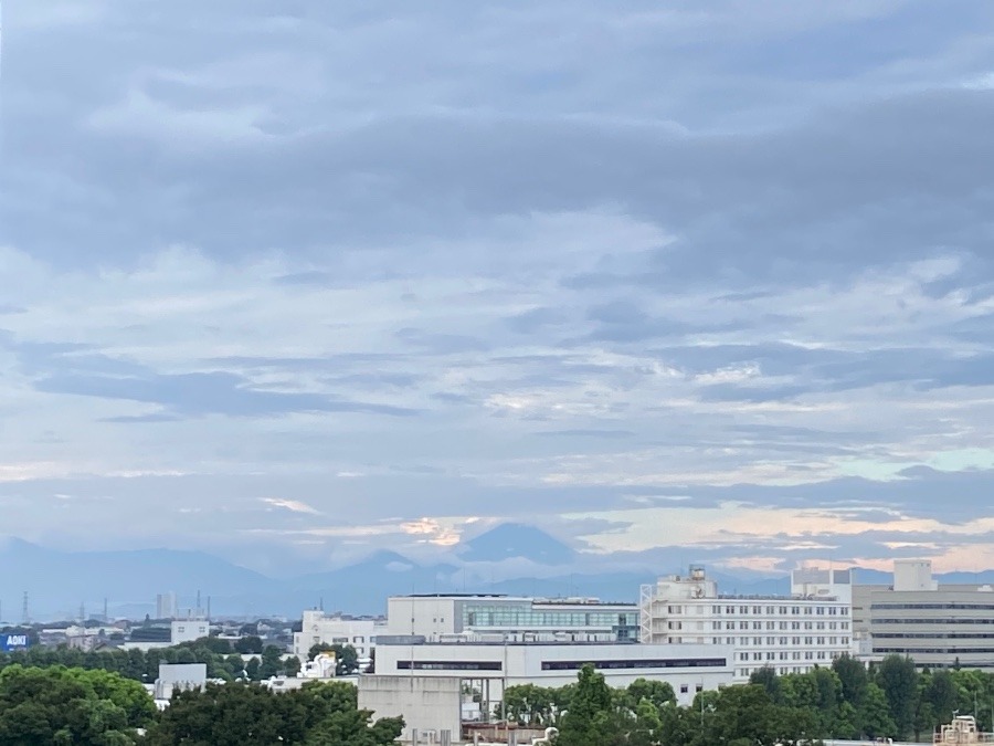 今朝の富士山