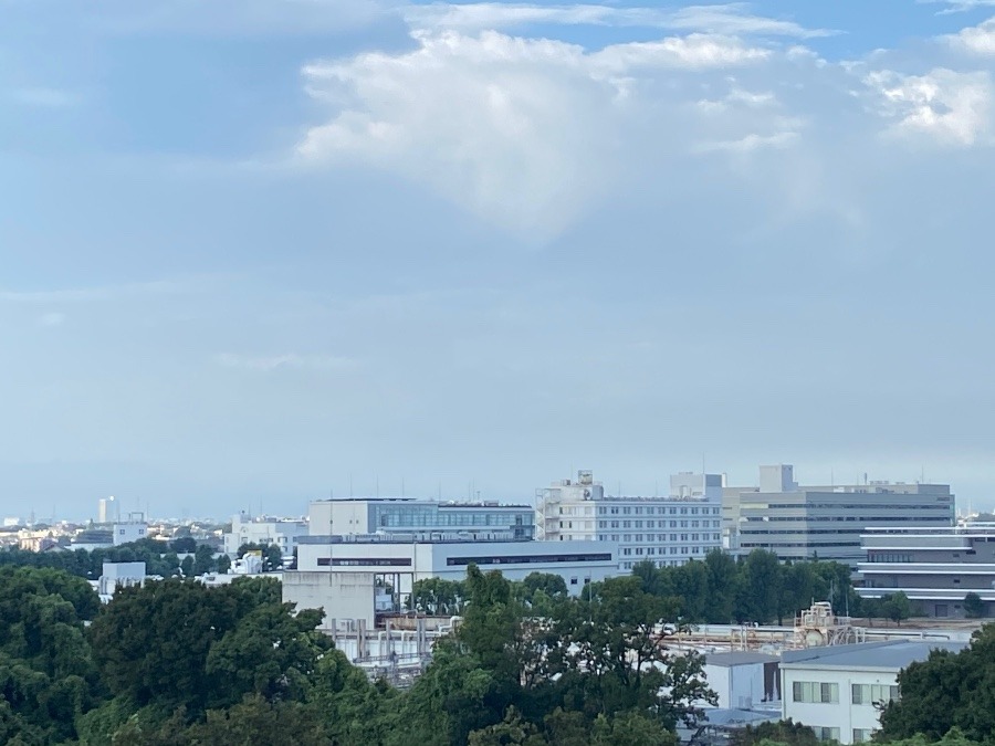 今朝の富士山