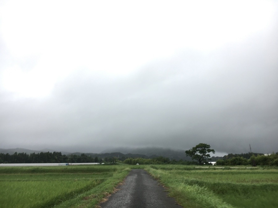 ⭕️空部→ 今日の空（≧∇≦）‼️1492.