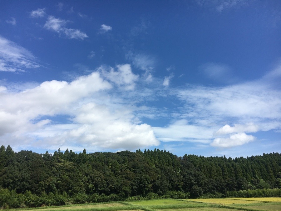 ⭕️空部→ 今日の空（≧∇≦）‼️1501.