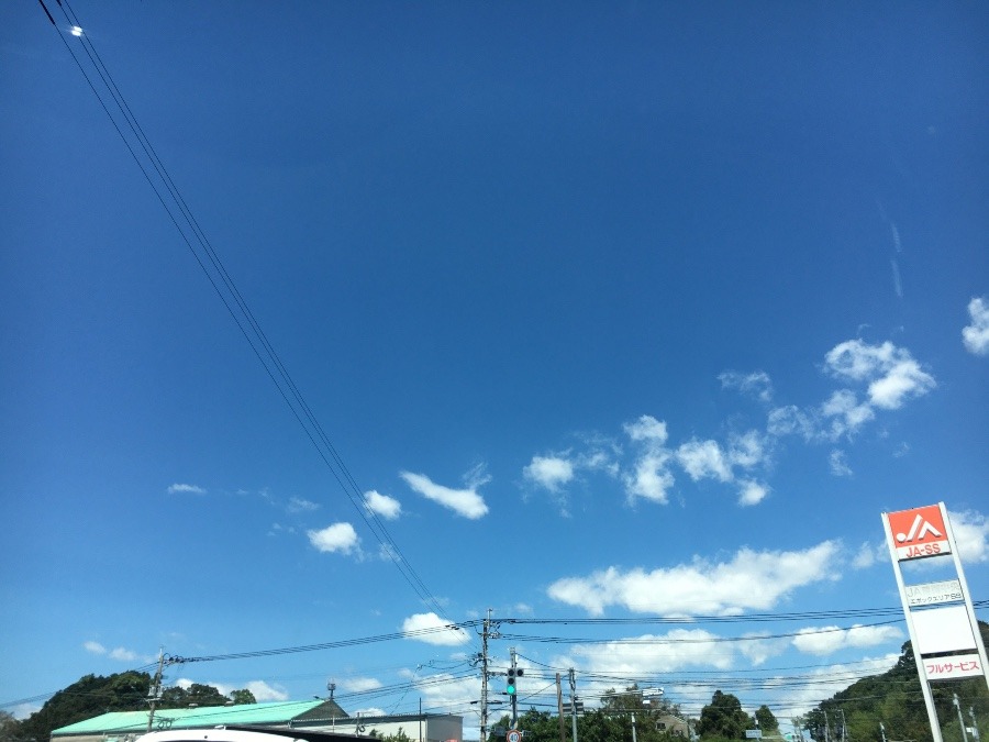 ⭕️空部→ 今日の空（≧∇≦）‼️1464.