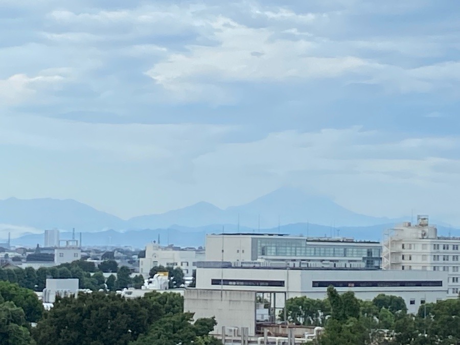 今朝の富士山