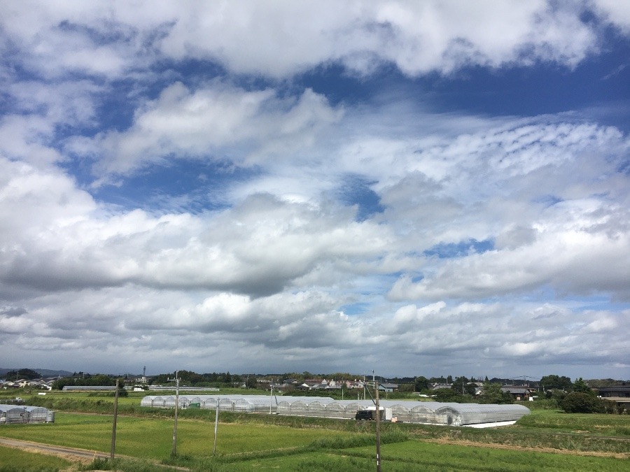 ⭕️空部→ 今日の空（≧∇≦）‼️1495.