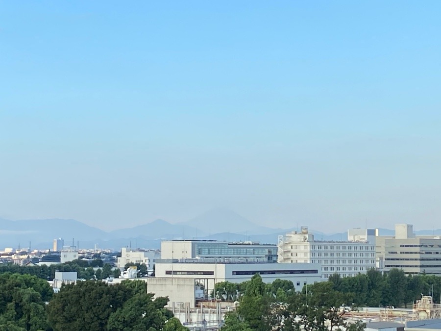 今朝の富士山